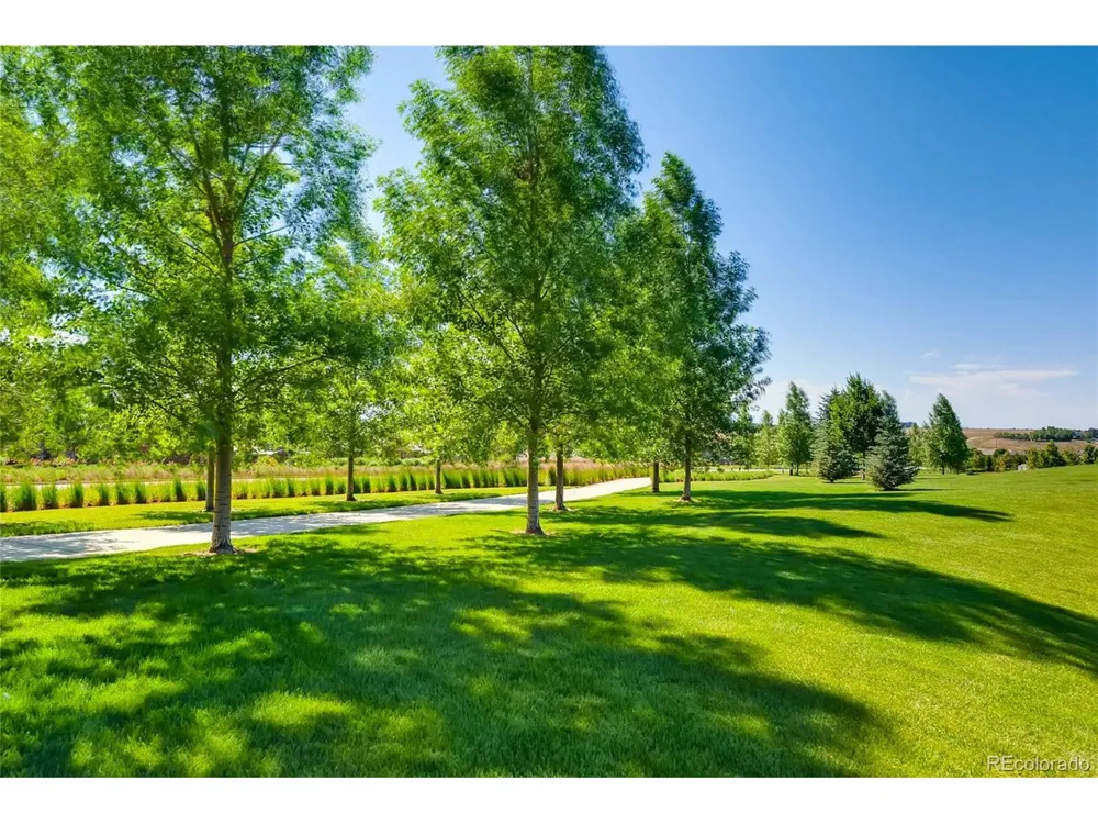 10081 Bristleridge Street Parker, CO 80134