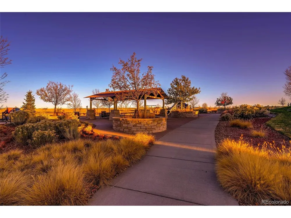 10081 Bristleridge Street Parker, CO 80134