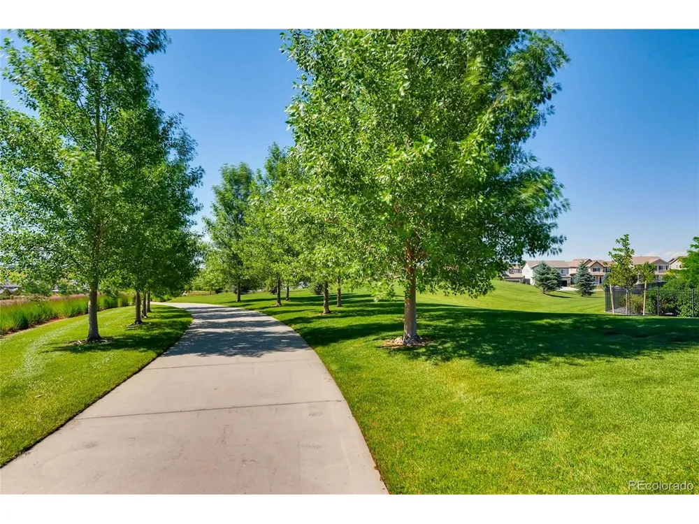 10081 Bristleridge Street Parker, CO 80134