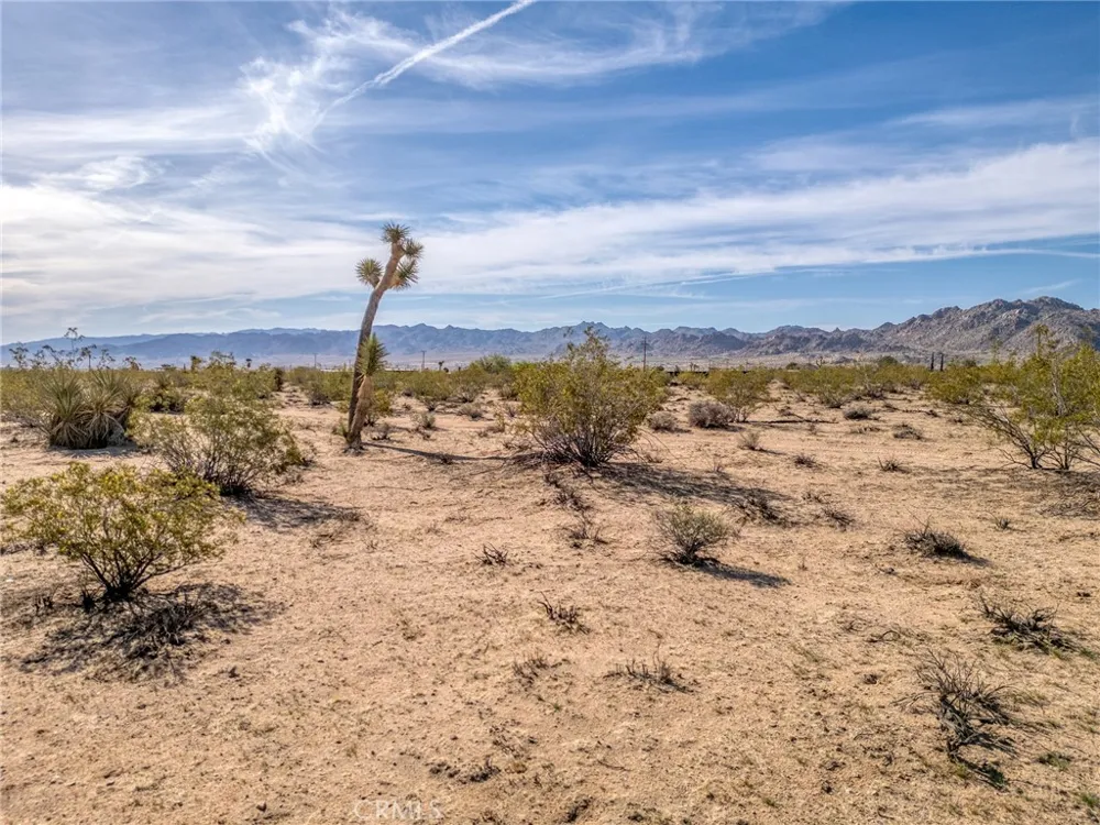 62730 Hacienda Road Joshua Tree, CA 92252