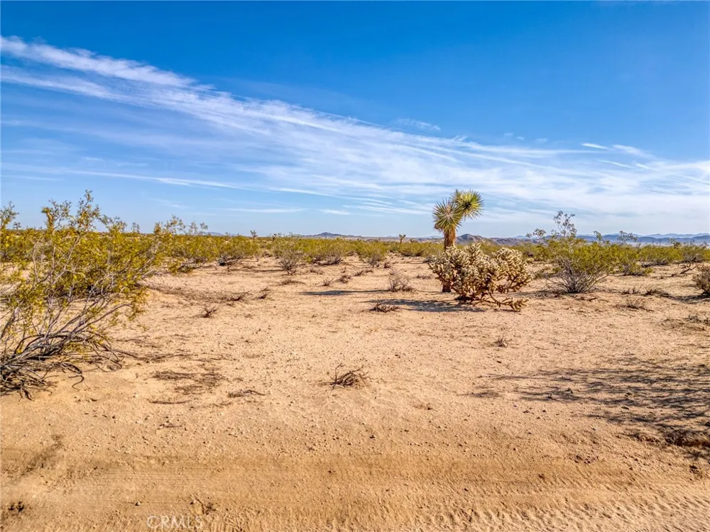 62730 Hacienda Road Joshua Tree, CA 92252