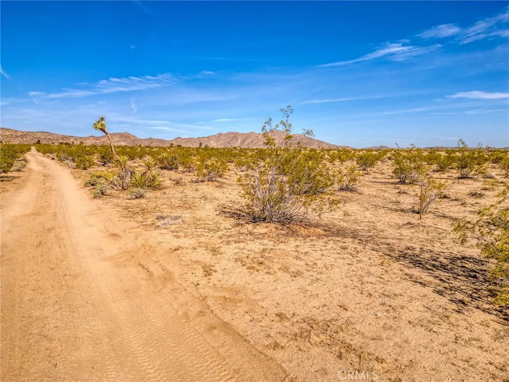 62730 Hacienda Road Joshua Tree, CA 92252