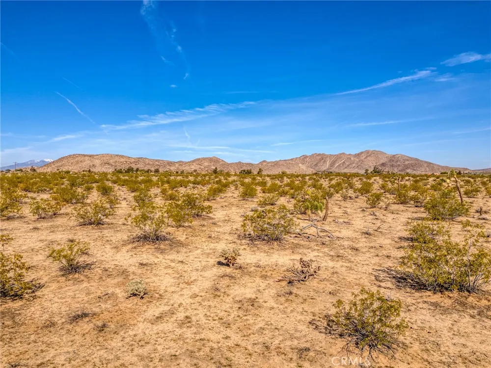 62725 2 Mile Road Joshua Tree, CA 92252