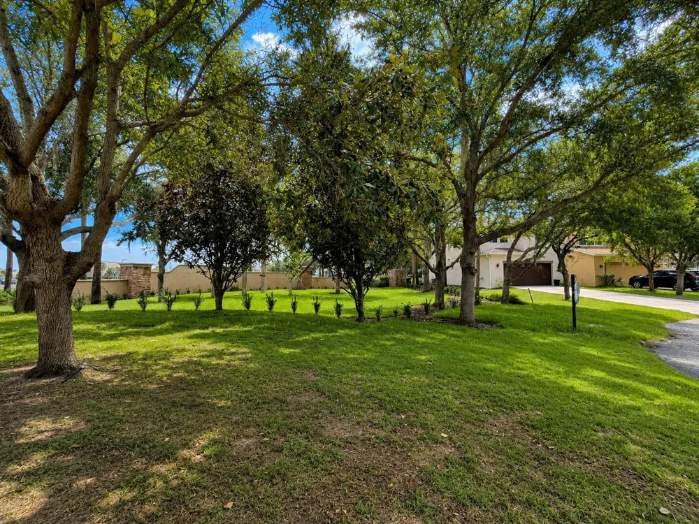 11804 SILVERLAKE PARK DRIVE Windermere, FL 34786