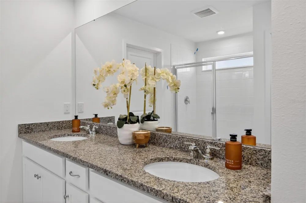133 GREENHOUSE GROVE STREET Groveland, FL 34736