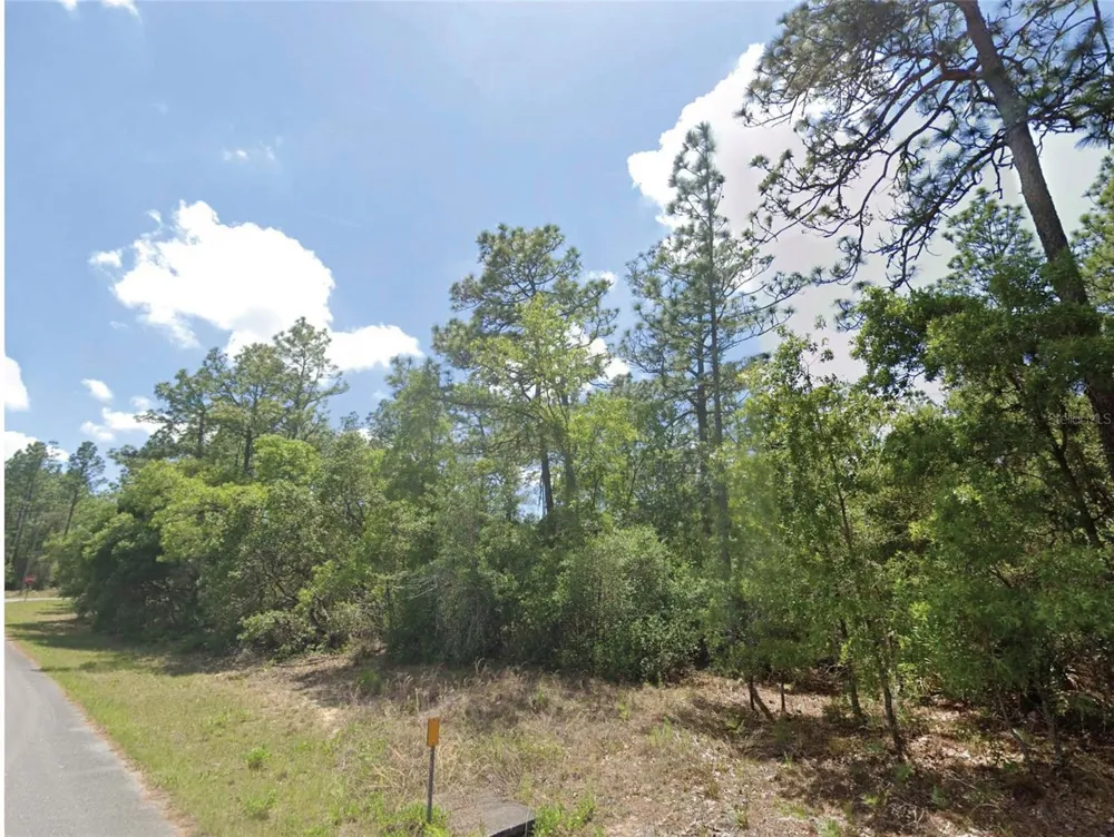 9164 GILBERT TERRACE Dunnellon, FL 34433