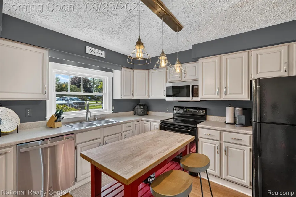 9749 Beverly Drive Hamburg Township, MI 48169
