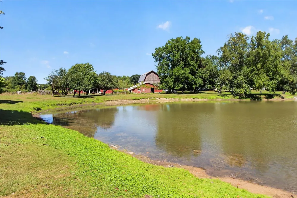 4667 Croswell Road Emerson Township, MI 48801