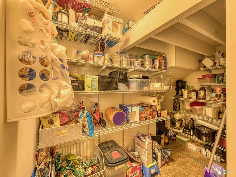 11650 Wells Road Ida Township, MI 49270