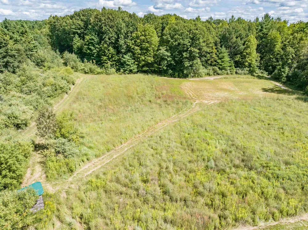 2861 Cemetery Road Butman Township, MI 48624