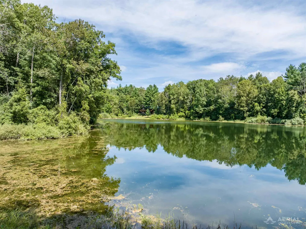 2861 Cemetery Road Butman Township, MI 48624
