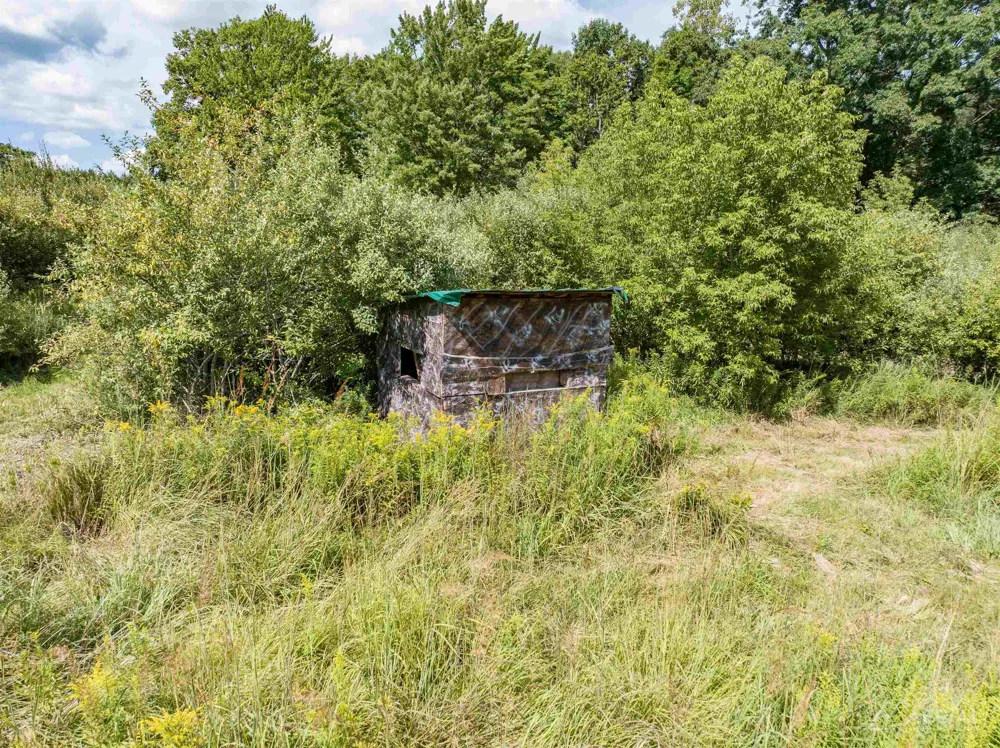2861 Cemetery Road Butman Township, MI 48624
