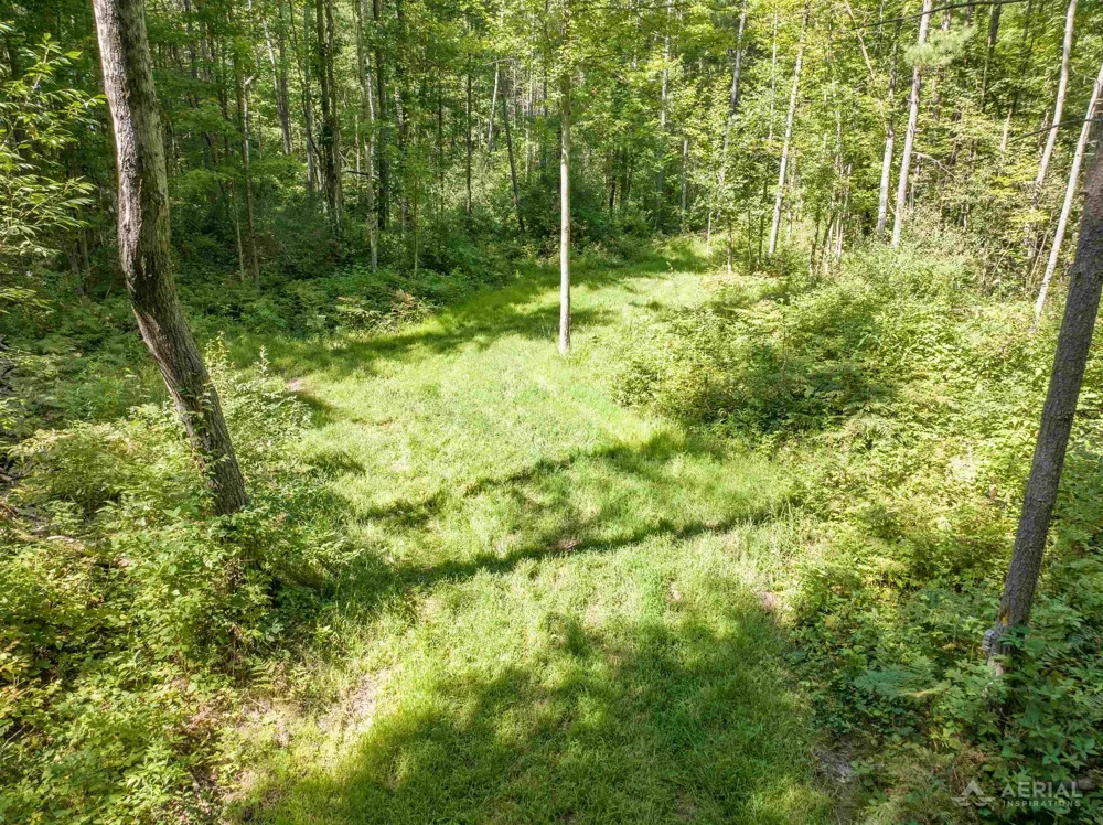 2861 Cemetery Road Butman Township, MI 48624