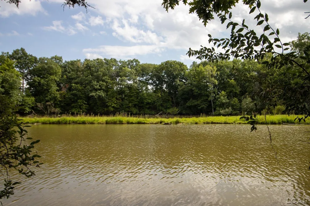 2453 Cedarwood Drive Adrian Township, MI 49221