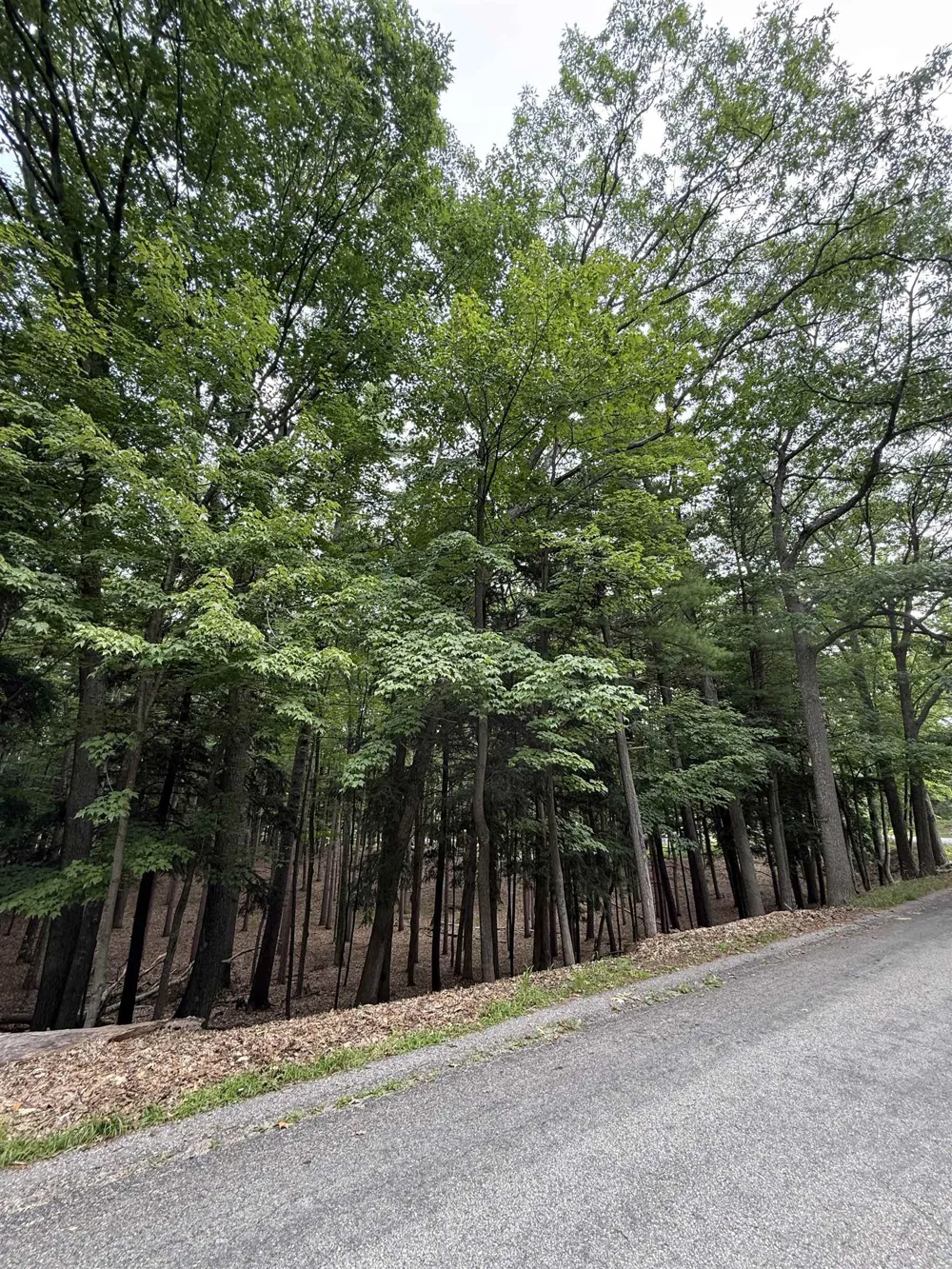 Albert Courtade Road East Bay Township, MI 49696