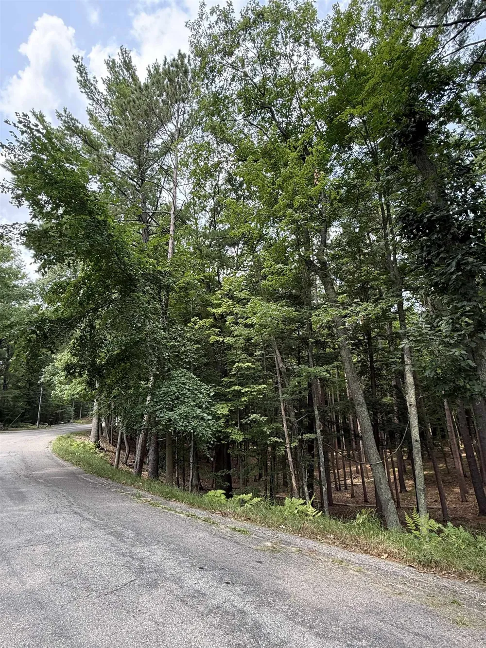 Albert Courtade Road East Bay Township, MI 49696