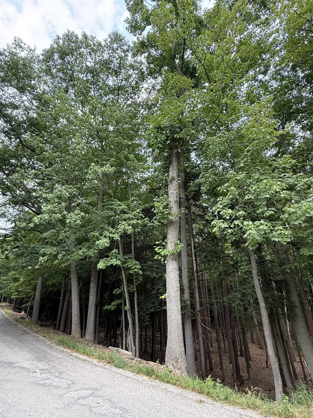 Albert Courtade Road East Bay Township, MI 49696