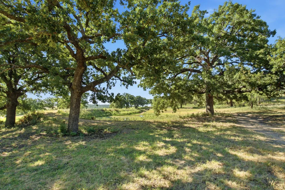 3100 County Road 153 Blanket, TX 76432