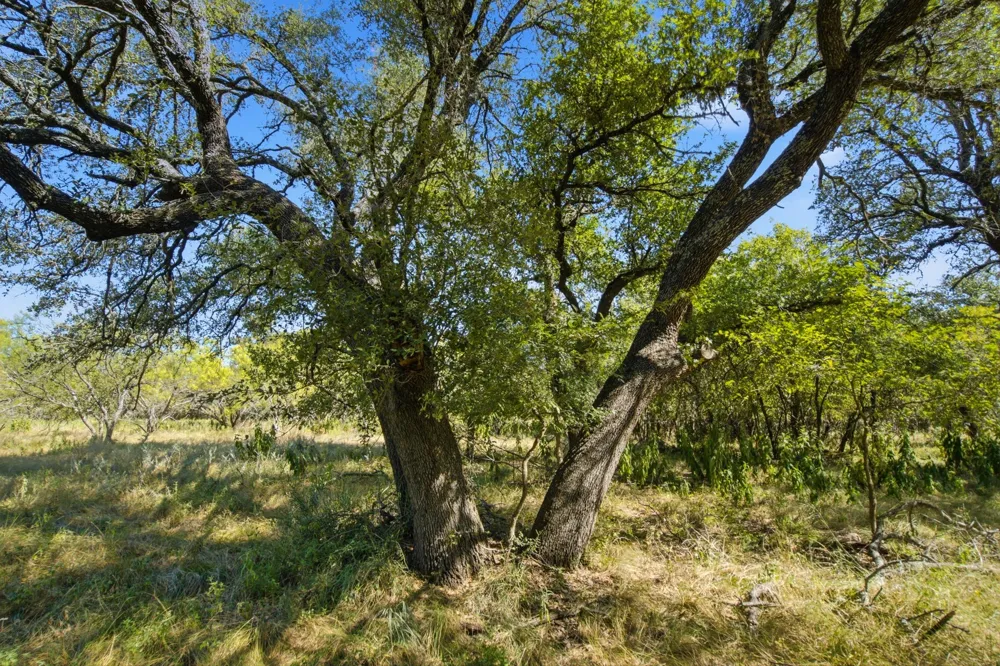 3100 County Road 153 Blanket, TX 76432