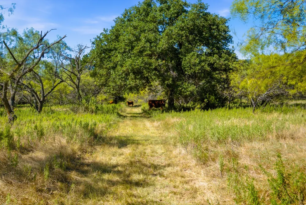 3100 County Road 153 Blanket, TX 76432