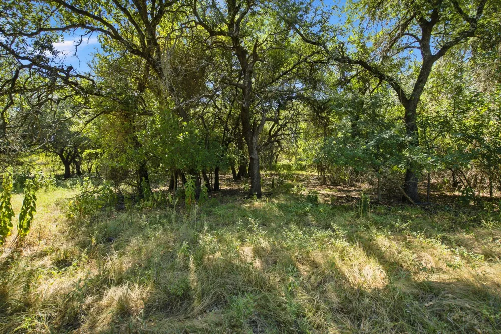 3100 County Road 153 Blanket, TX 76432