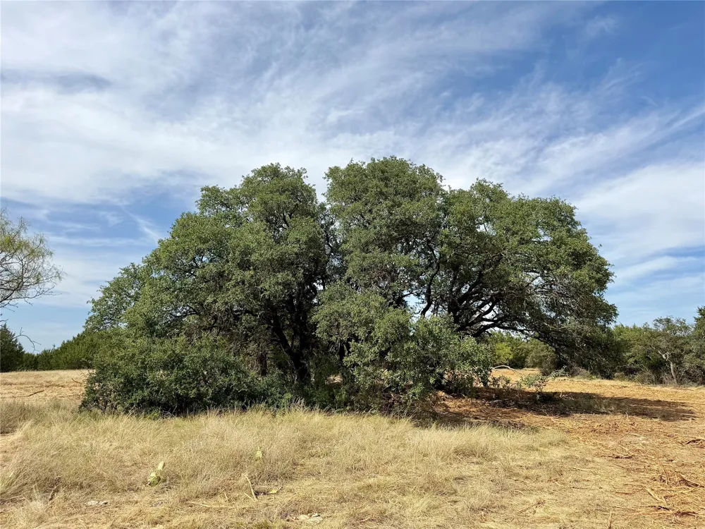 3100 County Road 153 Blanket, TX 76432