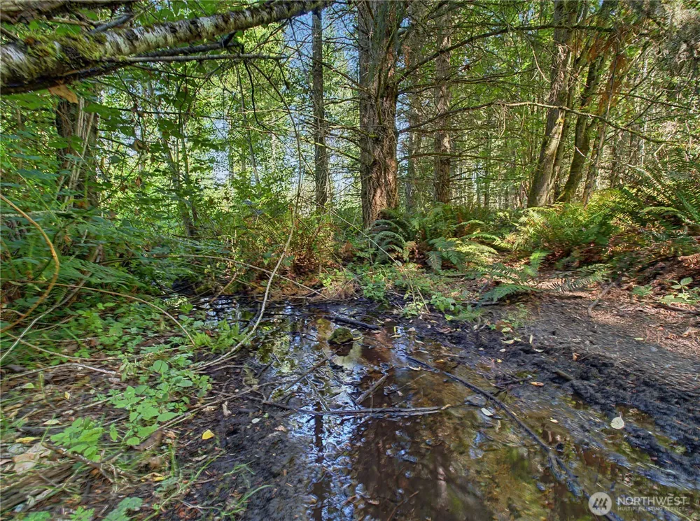 27011 173rd Street E Buckley, WA 98321