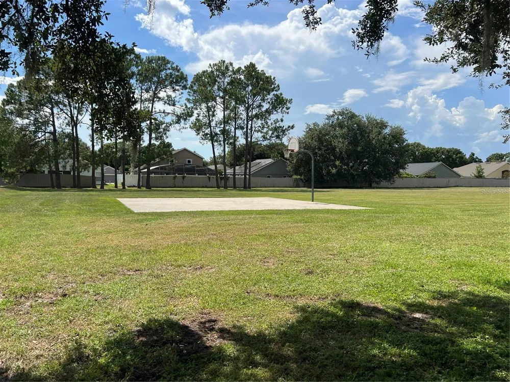 10172 WINDERMERE CHASE BOULEVARD Gotha, FL 34734