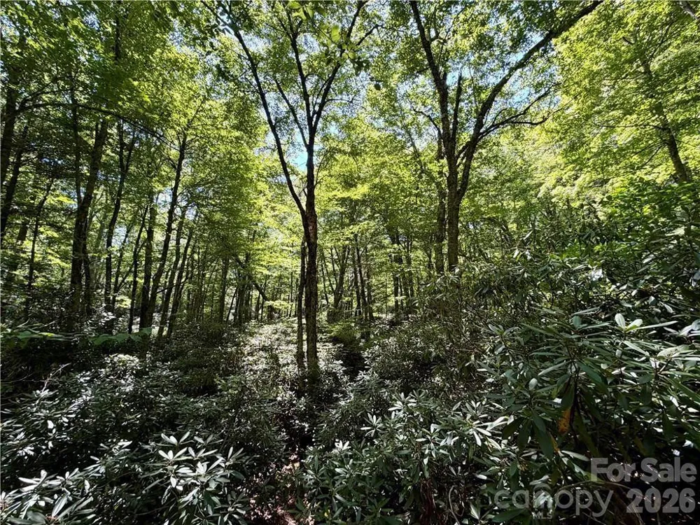 tbd Boulder Creek Drive #3 Boone, NC 28607