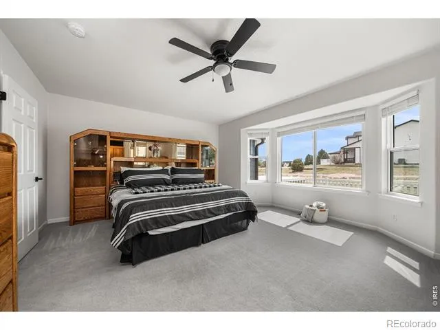 16645 Tree Haven Street Hudson, CO 80642