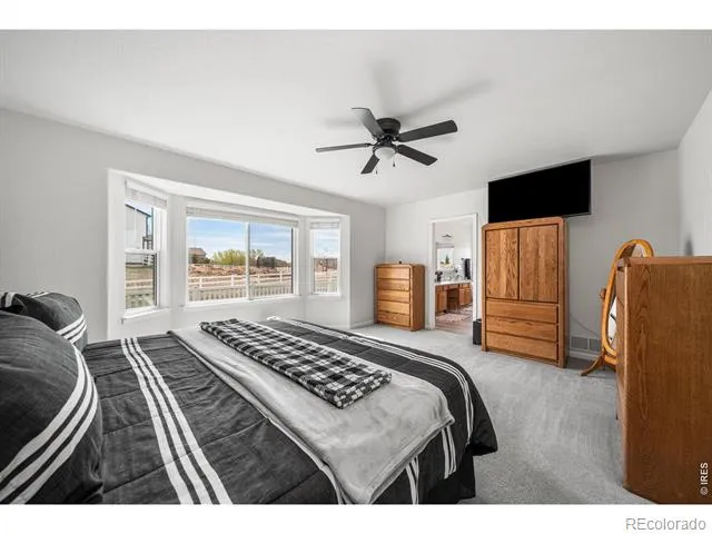 16645 Tree Haven Street Hudson, CO 80642