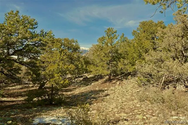 2130 Big Ranch Overlook Crestone, CO 81131