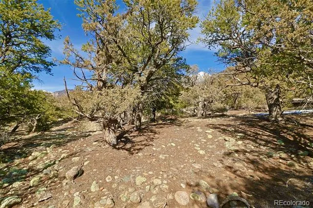 2130 Big Ranch Overlook Crestone, CO 81131
