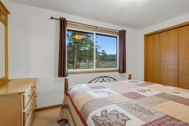 55 Odin Way Estes Park, CO 80517