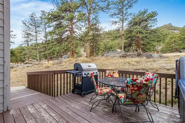 55 Odin Way Estes Park, CO 80517