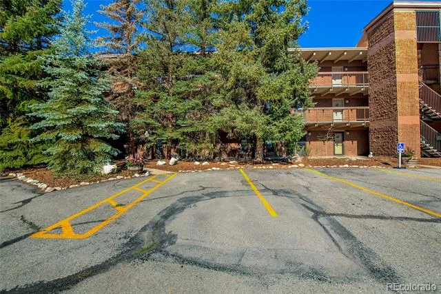 222 Creekside Drive #317 Frisco, CO 80443