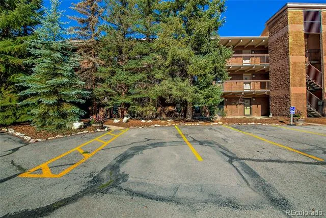 222 Creekside Drive #317 Frisco, CO 80443