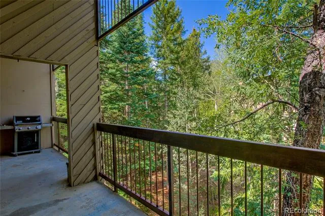 222 Creekside Drive #317 Frisco, CO 80443