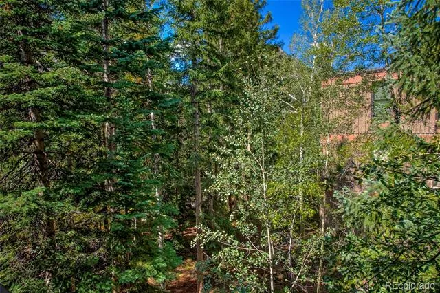 222 Creekside Drive #317 Frisco, CO 80443