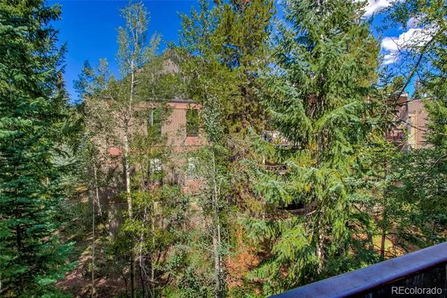 222 Creekside Drive #317 Frisco, CO 80443