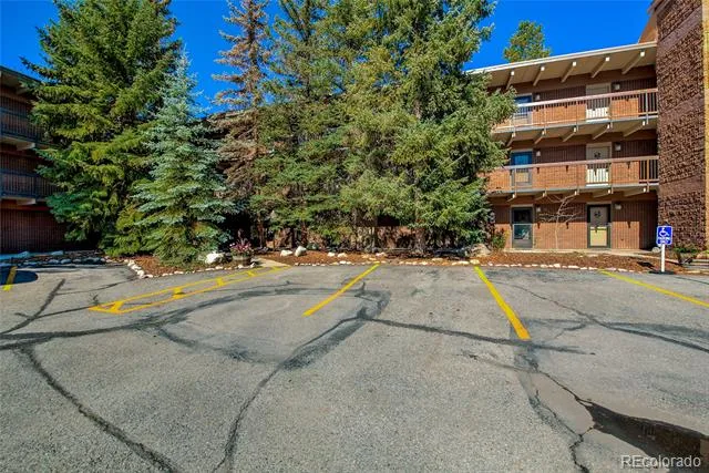 222 Creekside Drive #317 Frisco, CO 80443
