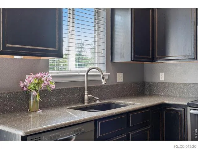 586 Magpie Drive Loveland, CO 80537