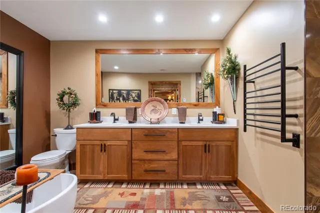756 Sheep Ridge Road Fairplay, CO 80440