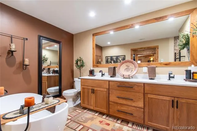756 Sheep Ridge Road Fairplay, CO 80440