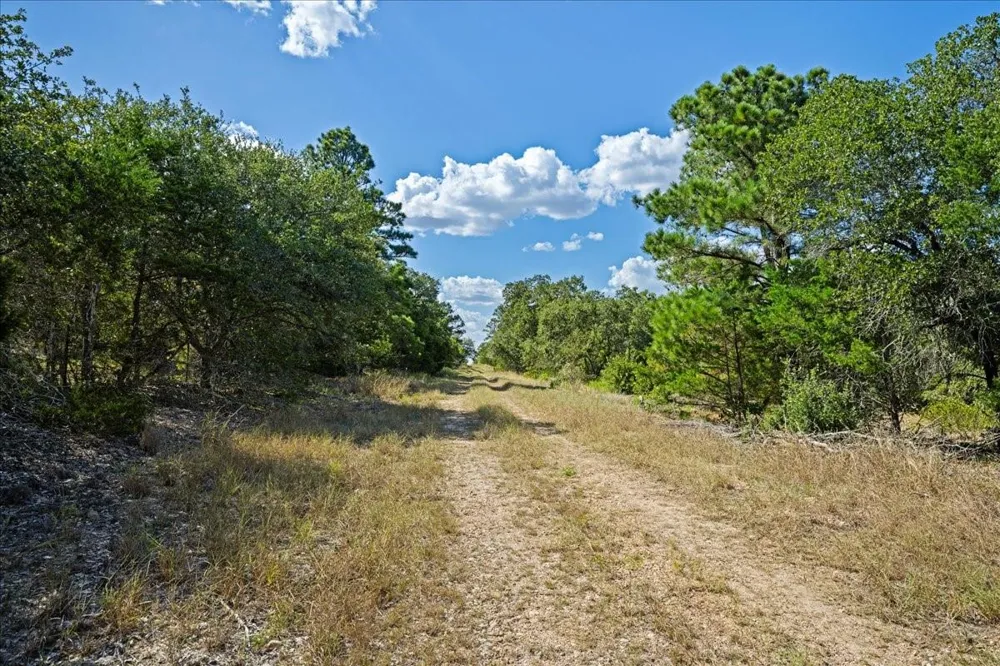 4605 Rocky Creek Road La Grange, TX 78945
