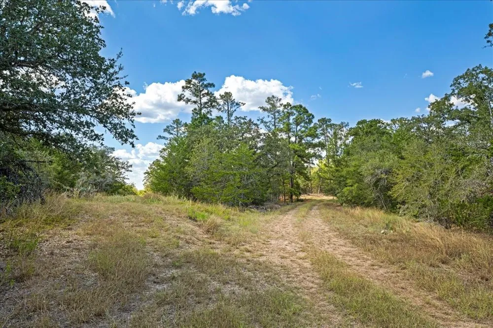 4605 Rocky Creek Road La Grange, TX 78945