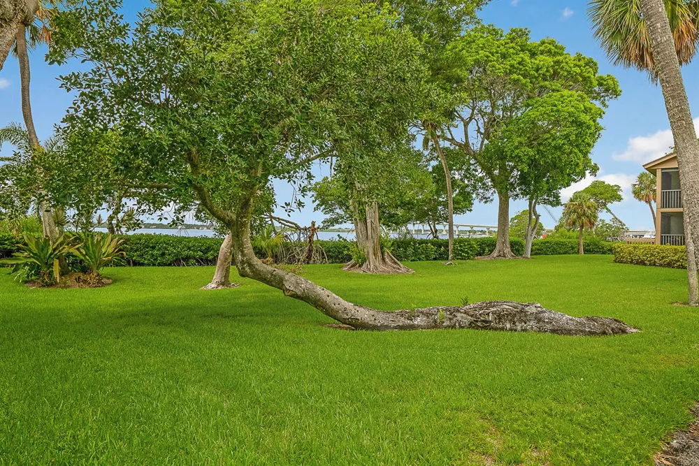 269 NE Edgewater Drive Stuart, FL 34996