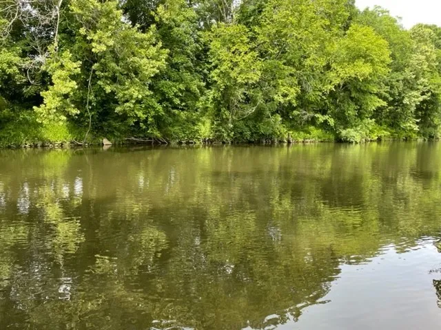 30 Three Forks Bridge Rd Wartrace, TN 37183