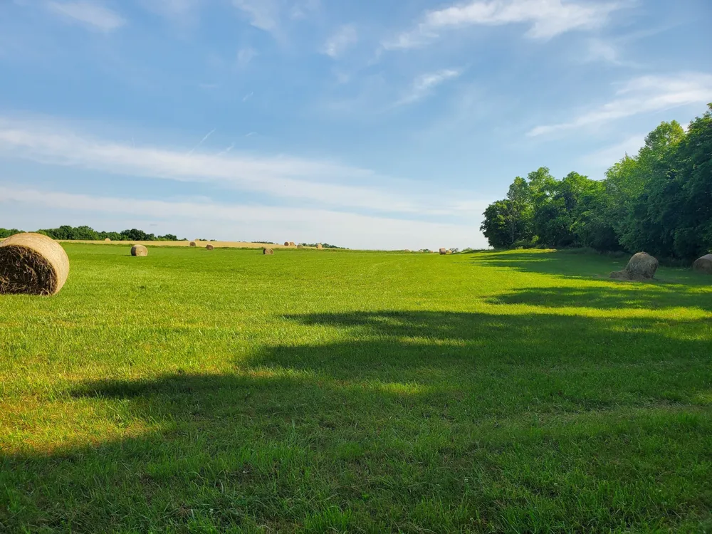 30 Three Forks Bridge Rd Wartrace, TN 37183