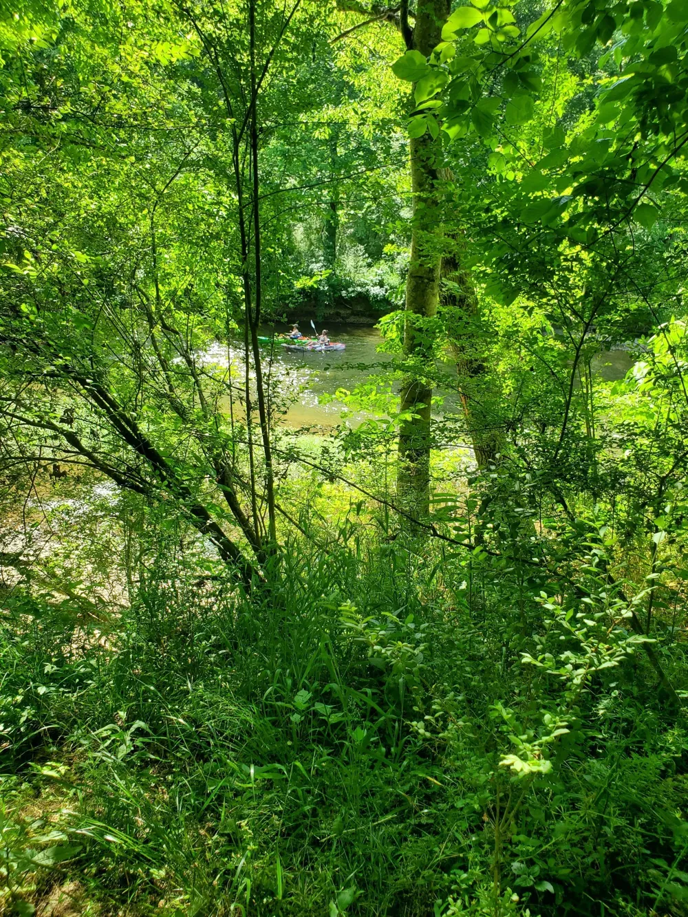30 Three Forks Bridge Rd Wartrace, TN 37183